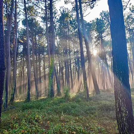 Laura Сasa de vacaciones *